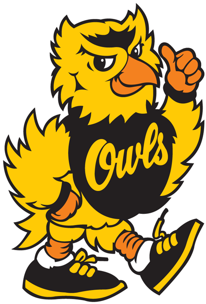 Kennesaw State Owls 1992-2011 Mascot Logo t shirts DIY iron ons